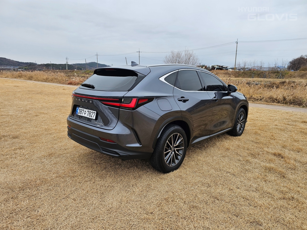 LEXUS NX 450h+