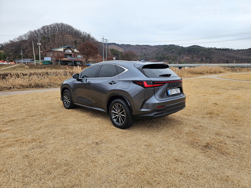 LEXUS NX 450h+