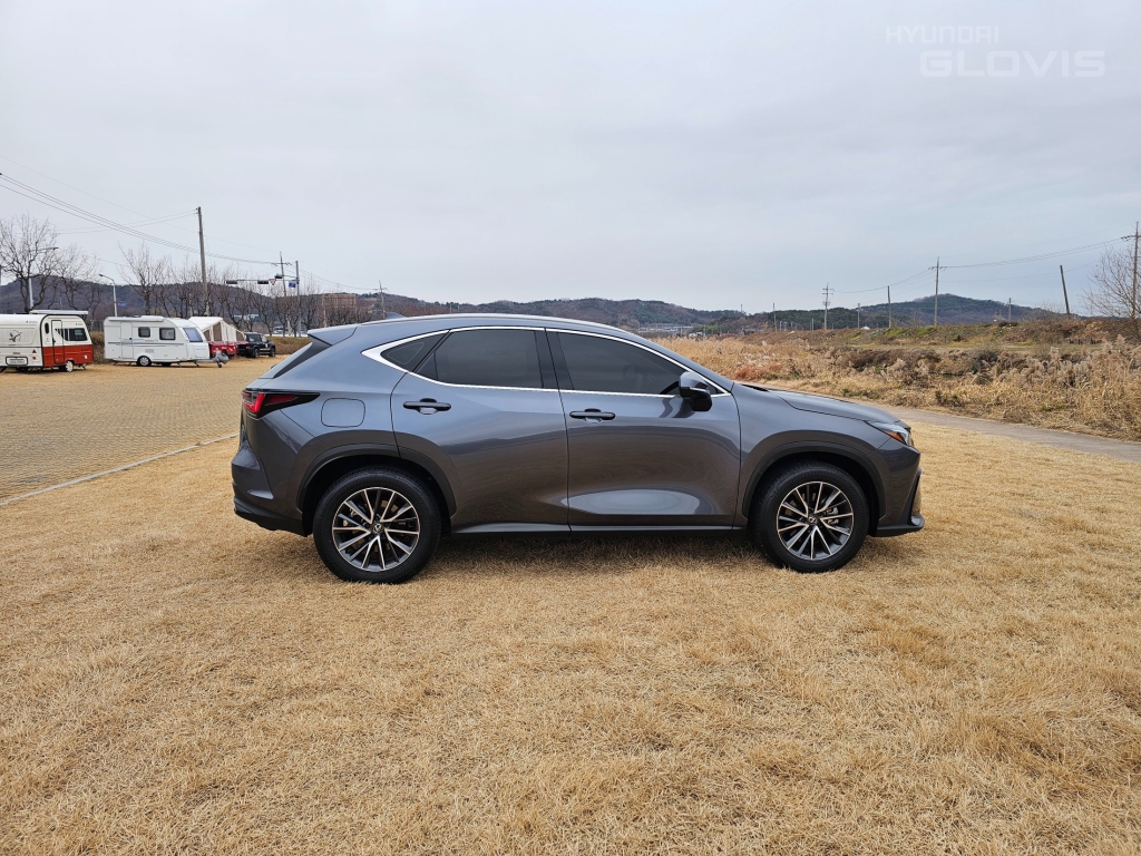 LEXUS NX 450h+