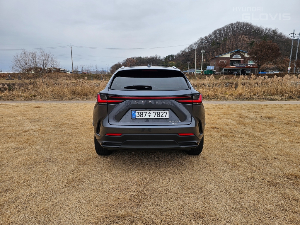 LEXUS NX 450h+