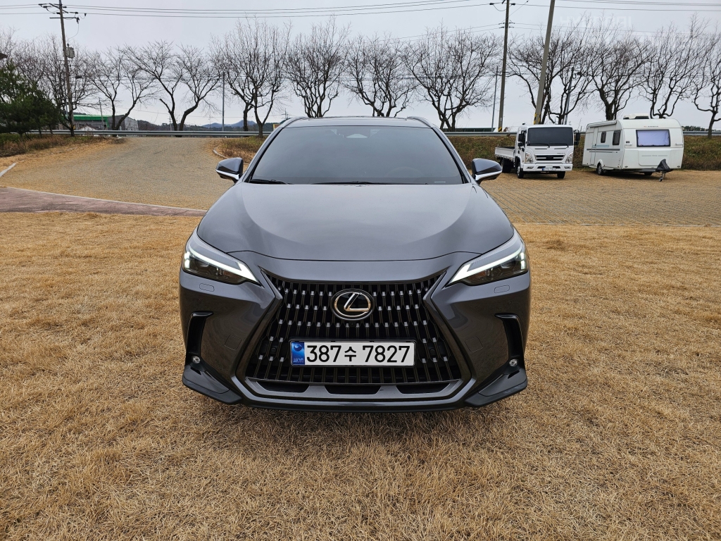LEXUS NX 450h+