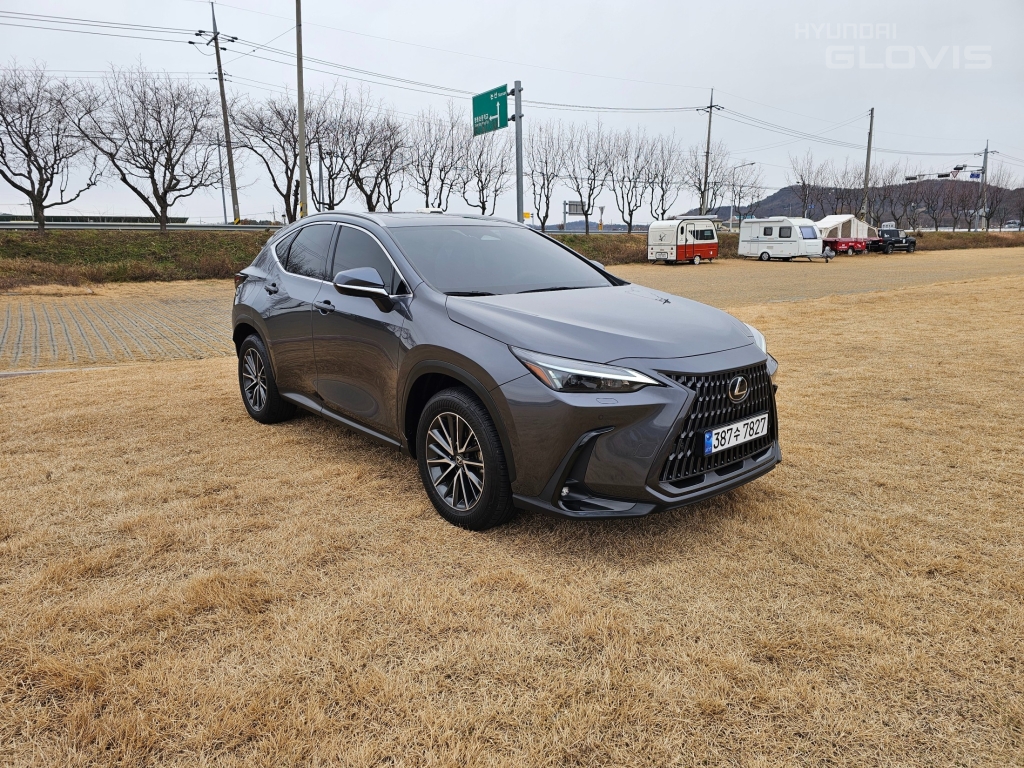 LEXUS NX 450h+