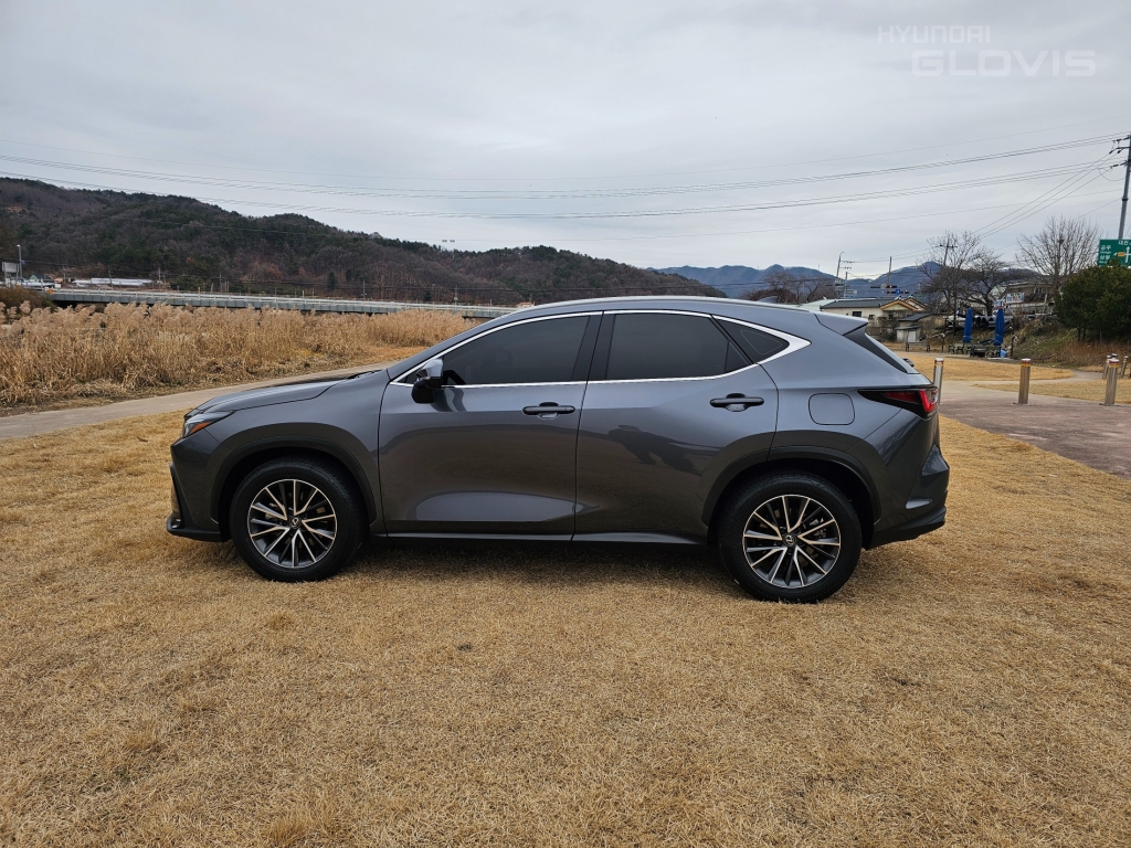 LEXUS NX 450h+