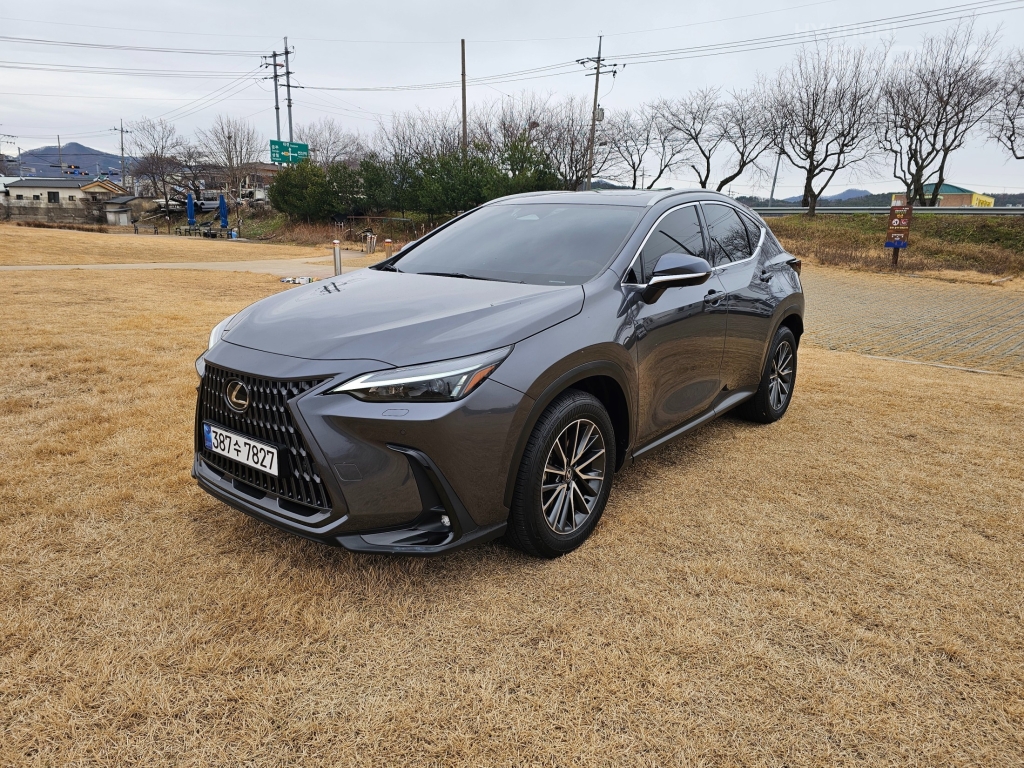 LEXUS NX 450h+