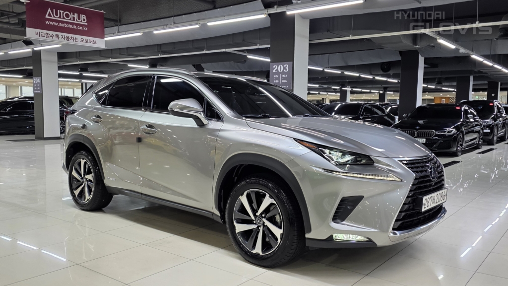 LEXUS NX 300h