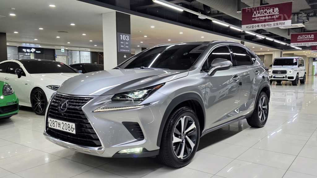 LEXUS NX 300h