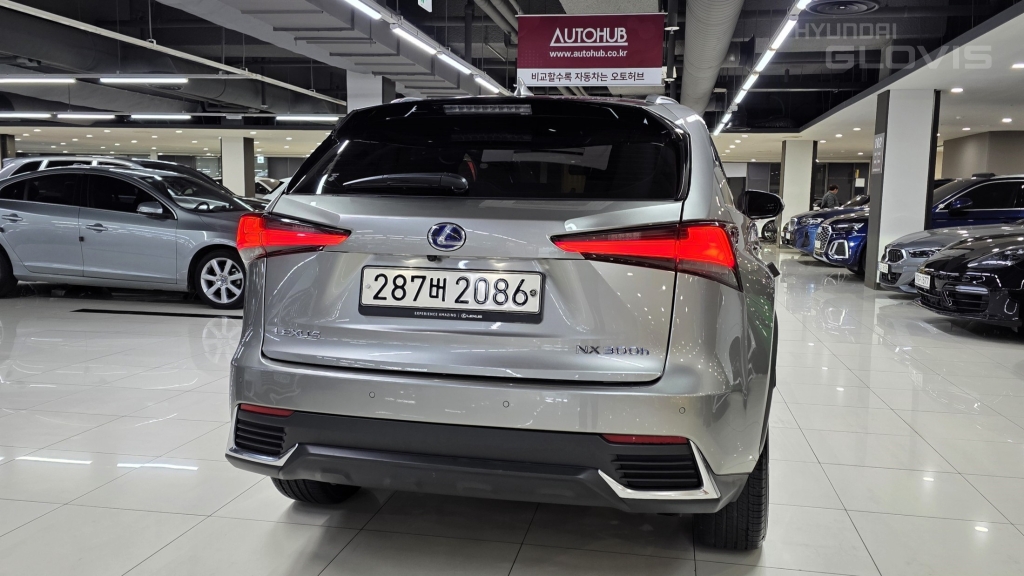 LEXUS NX 300h