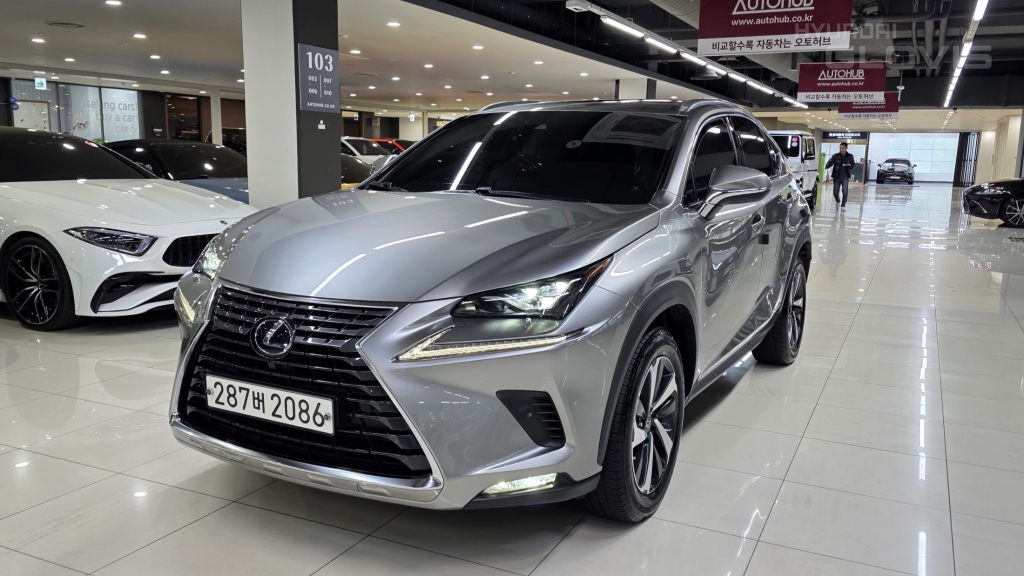 LEXUS NX 300h