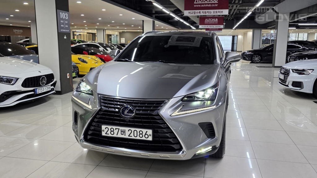 LEXUS NX 300h