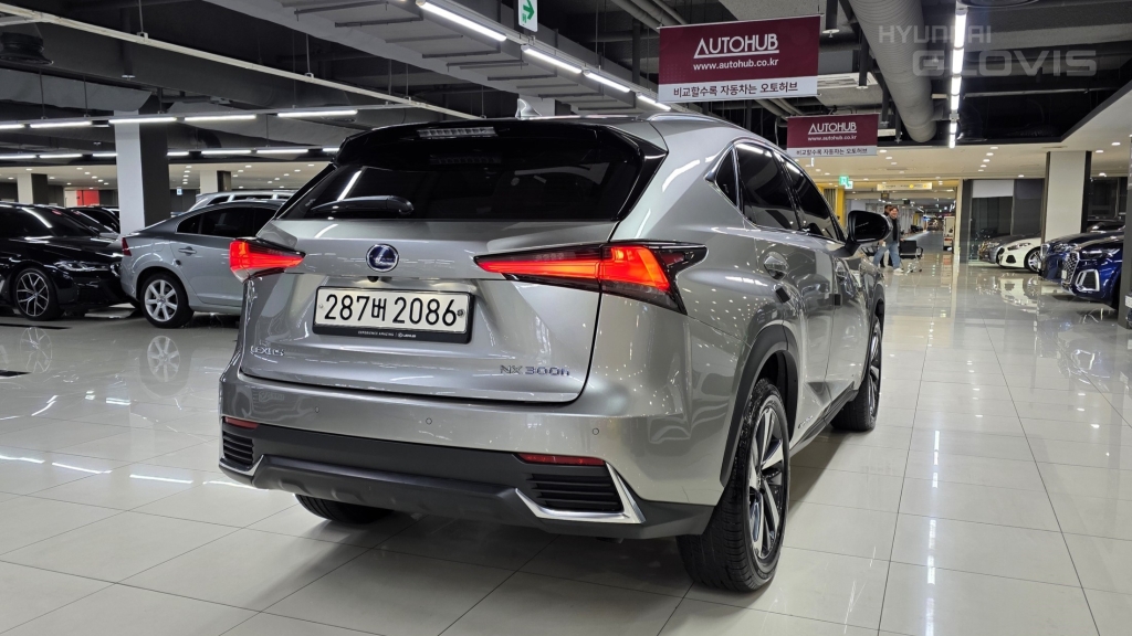 LEXUS NX 300h