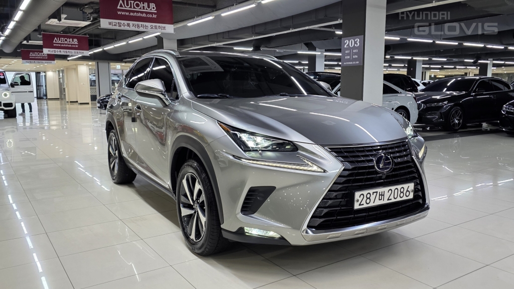 LEXUS NX 300h