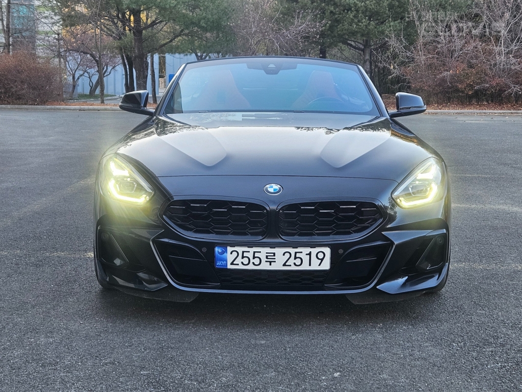 BMW Z4 (3rd Generation) M40i