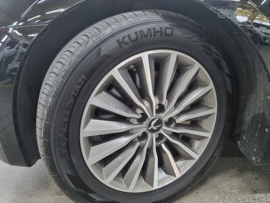 HYUNDAI Ecuus (New Model) VS380