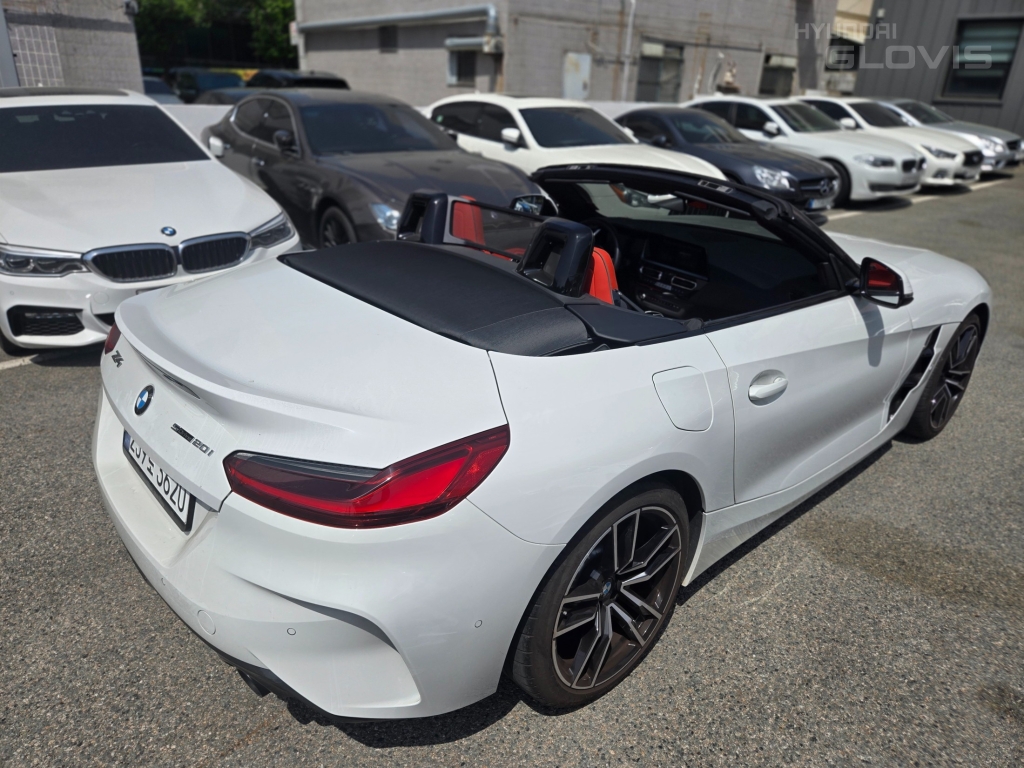 BMW Z4 (3rd Generation) 20i SDrive