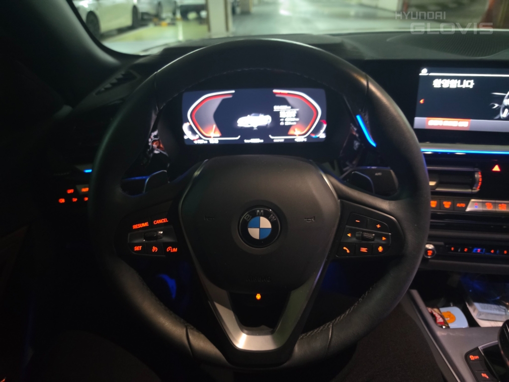 BMW Z4 (3rd Generation) 20i SDrive