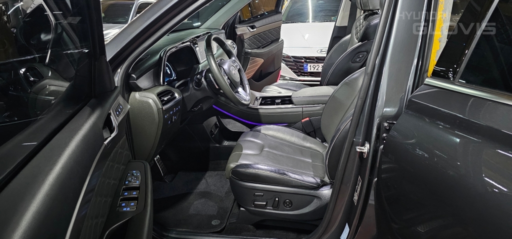 Hyundai Palisade, 2020, фотография 9