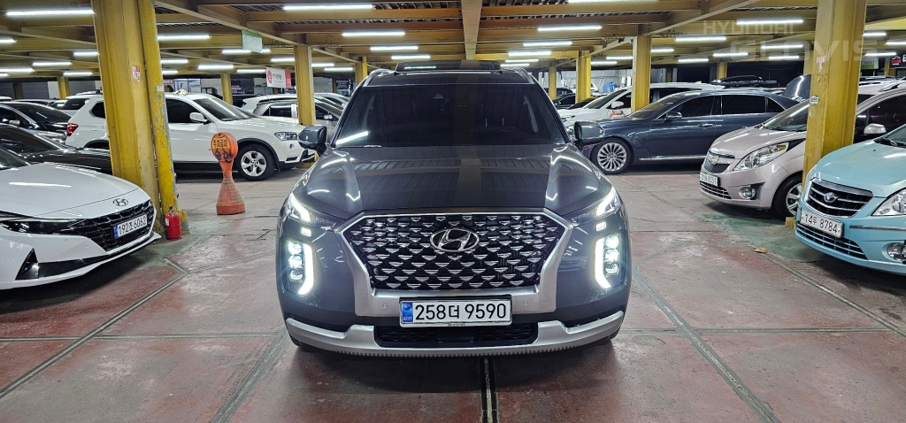 Hyundai Palisade, 2020, фотография 2