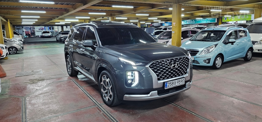 Hyundai Palisade, 2020, фотография 3