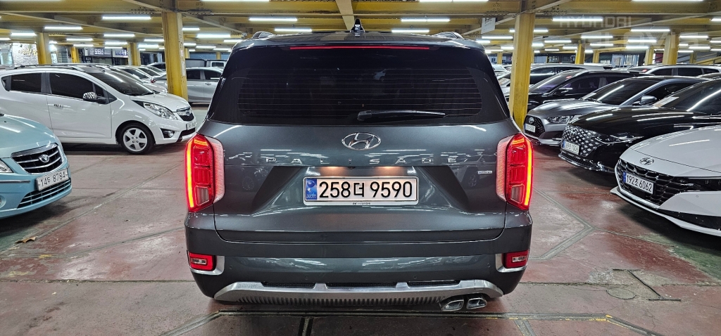 Hyundai Palisade, 2020, фотография 5