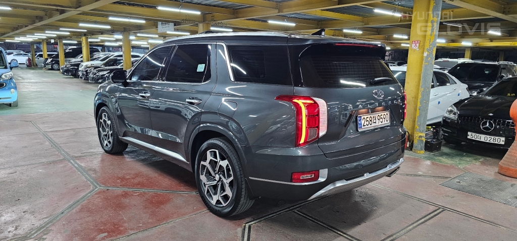 Hyundai Palisade, 2020, фотография 4