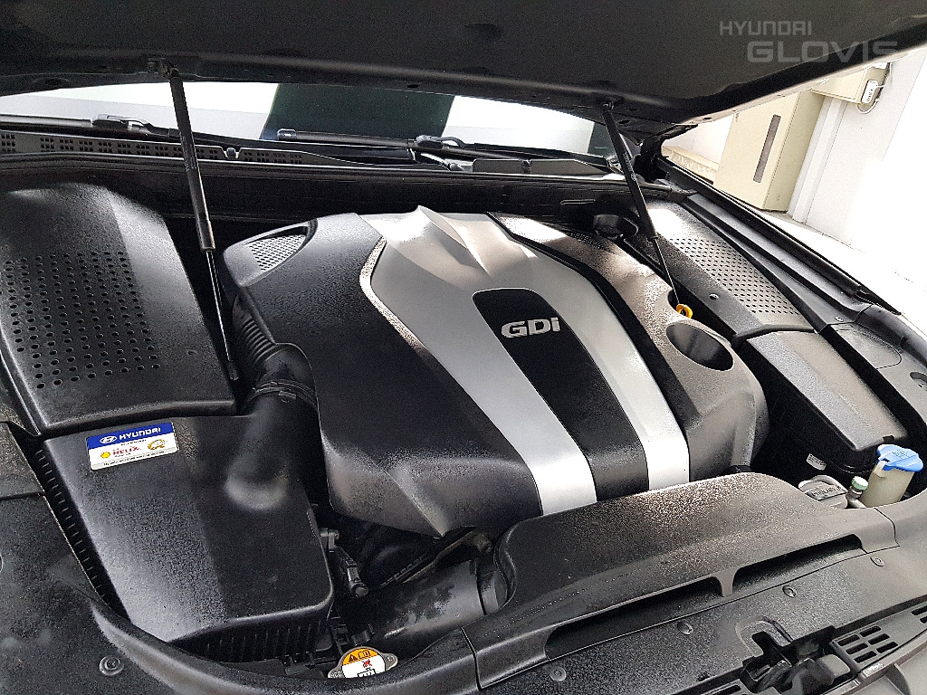 HYUNDAI Ecuus (New Model) VS380
