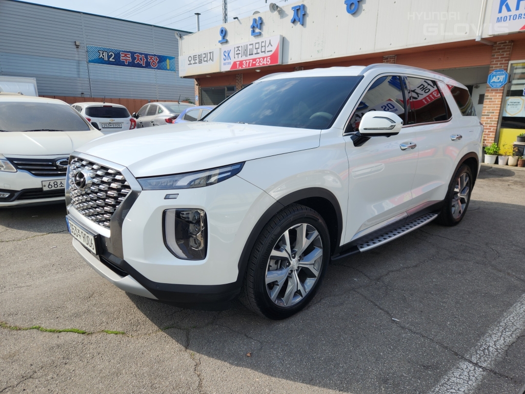 Hyundai Palisade, 2021, фотография 3