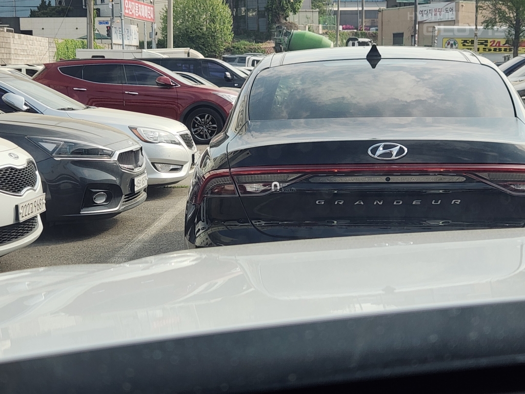 Hyundai Palisade, 2021, фотография 12