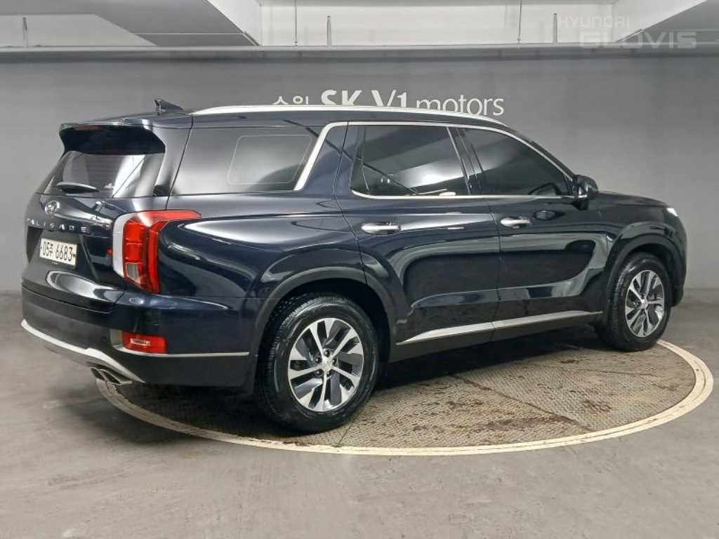 Hyundai Palisade, 2019, фотография 4