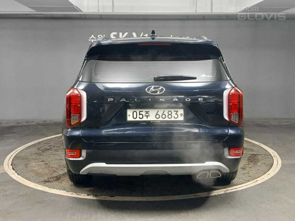 Hyundai Palisade, 2019, фотография 5