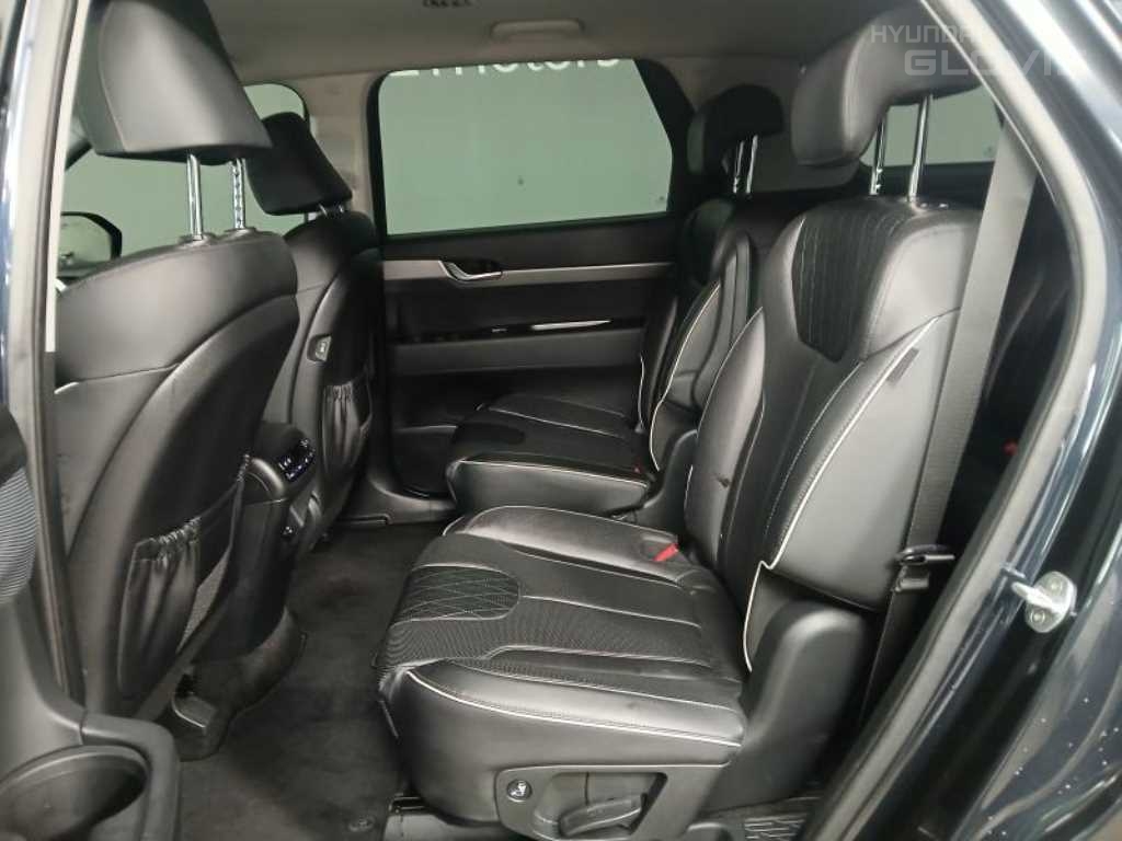 Hyundai Palisade, 2019, фотография 8