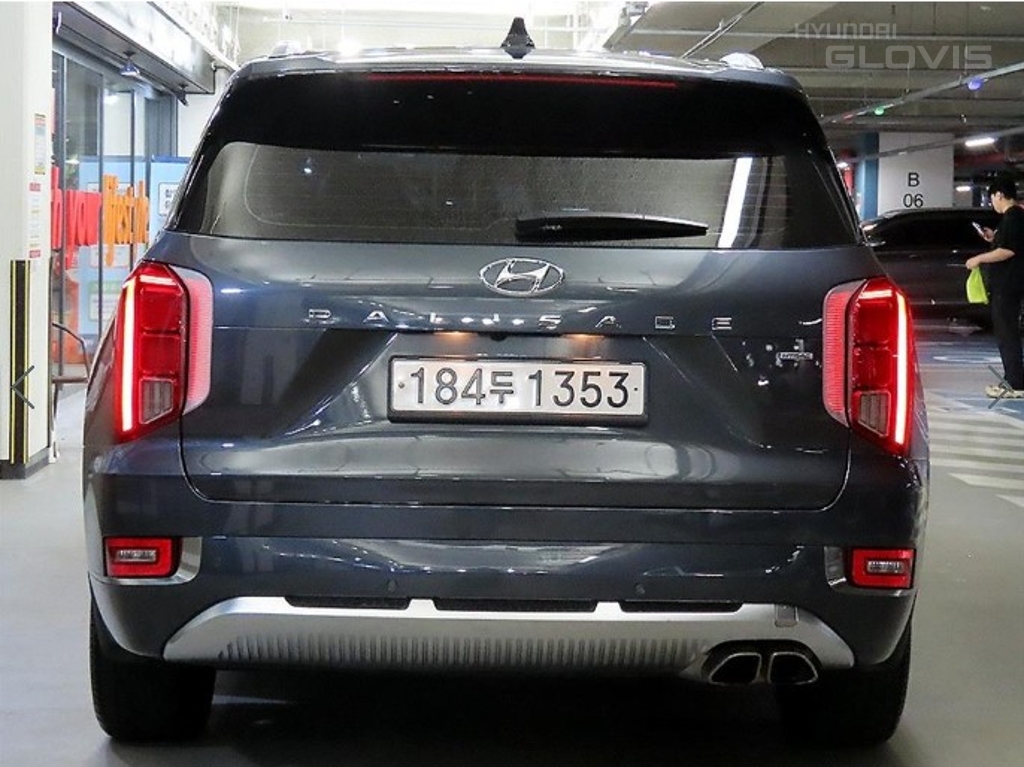 Hyundai Palisade, 2022, фотография 5