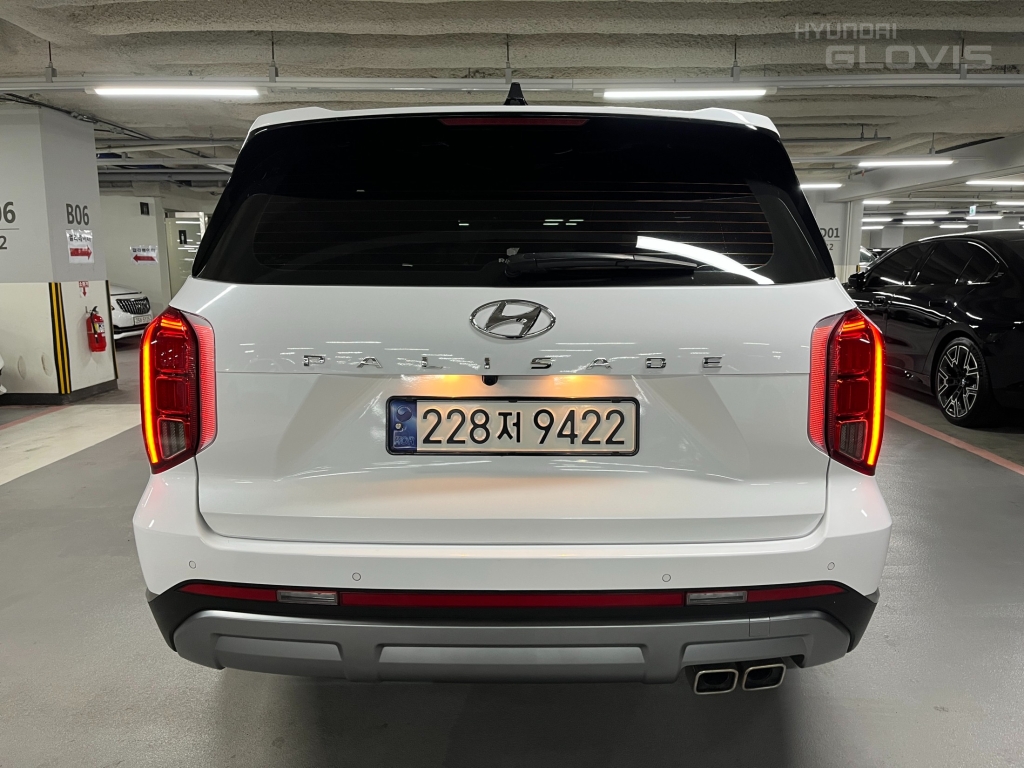 Hyundai Palisade, 2024, фотография 4