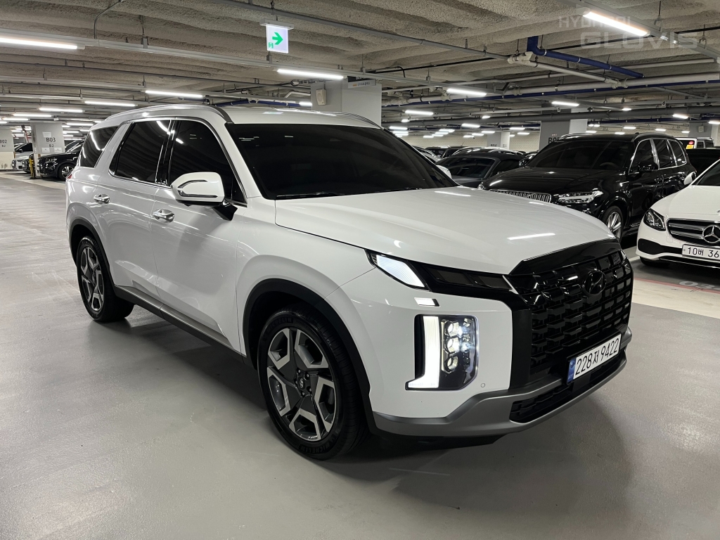 Hyundai Palisade, 2024, фотография 2