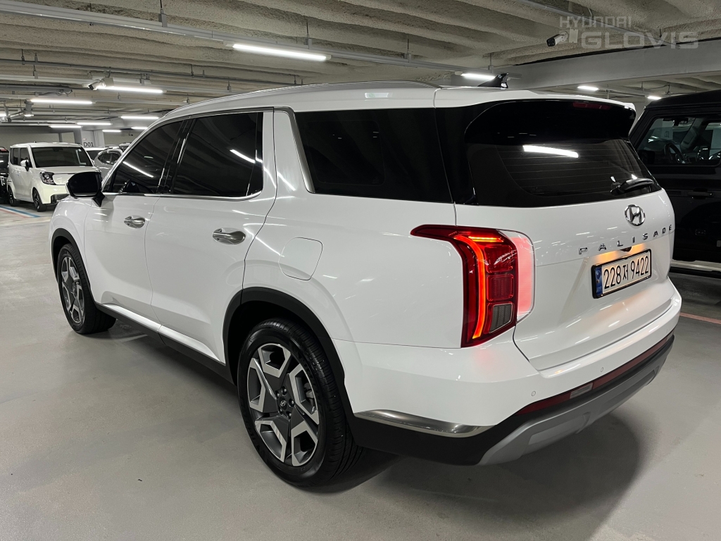 Hyundai Palisade, 2024, фотография 3
