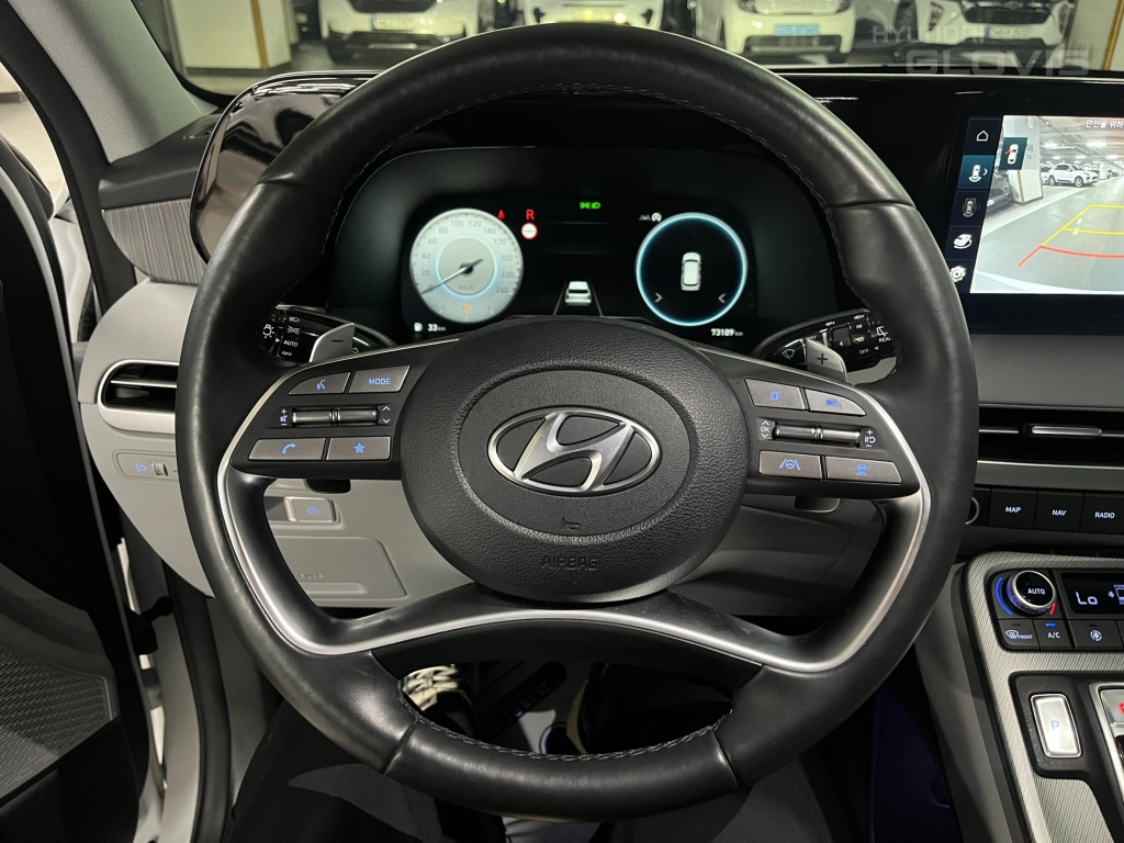Hyundai Palisade, 2024, фотография 10