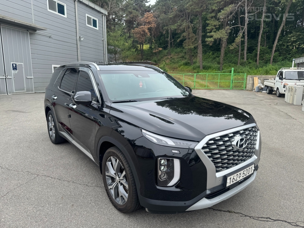 Hyundai Palisade, 2021, фотография 2