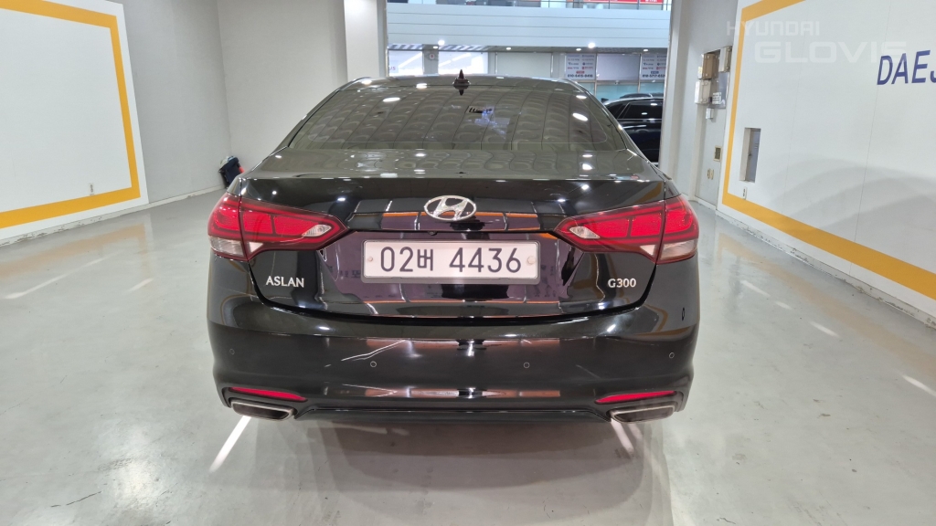 HYUNDAI Aslan G300